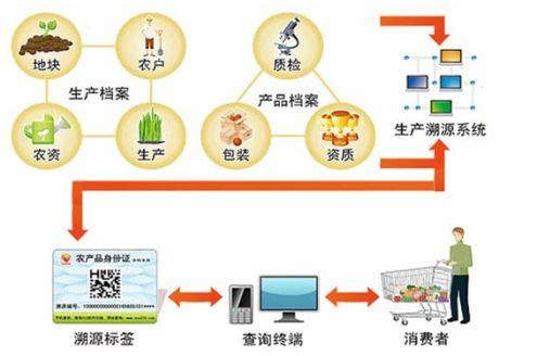 初级加工农产品标签写作指南