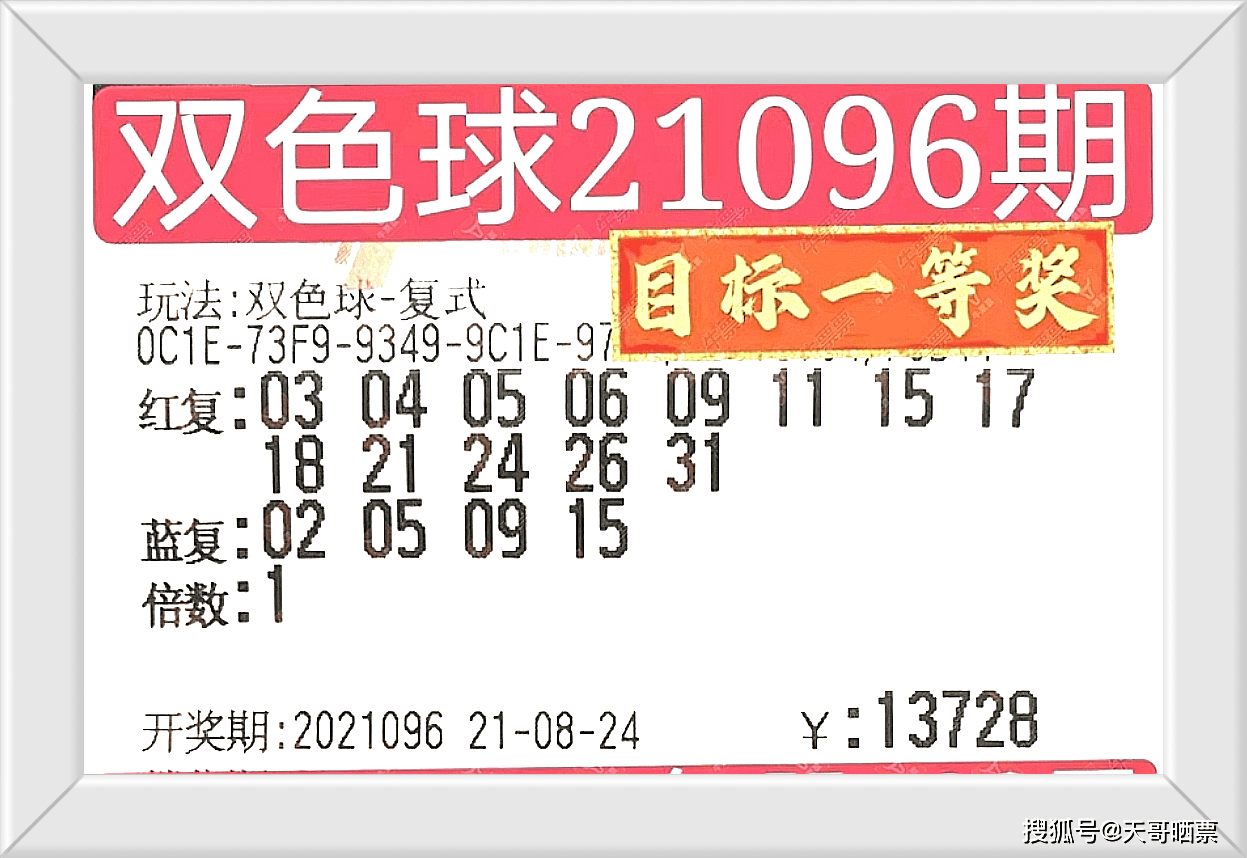 2024澳门今晚开奖号码，最佳精选解释落实_尊贵版2.88