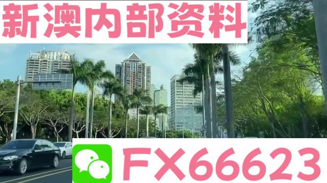 新澳2024最新资料，经典解释落实_户外版6.527