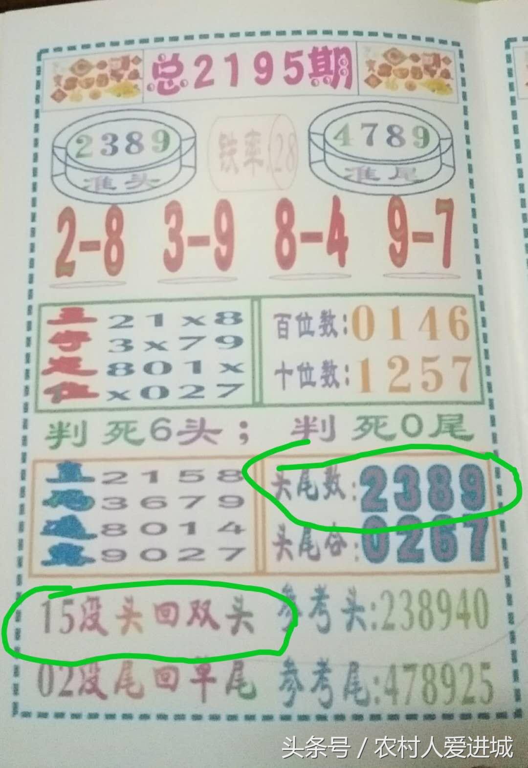 2024年10月 第46页