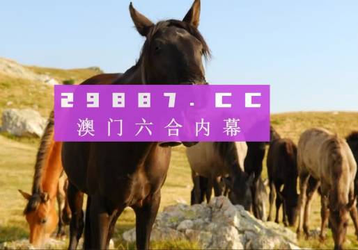 2024澳门管家婆一肖一码,定量解答解释落实_体验版96.97.87