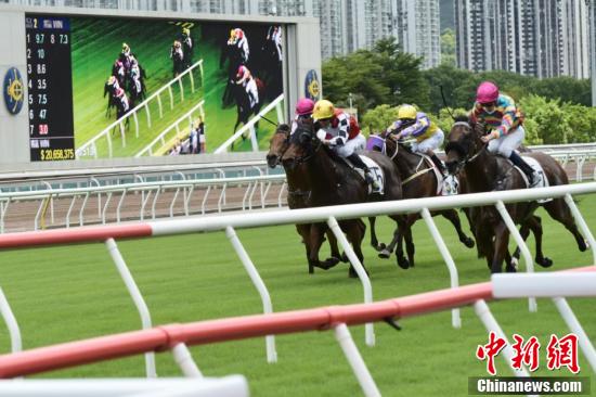 香港今晚开特马,优选方案解析说明_初级款9.398