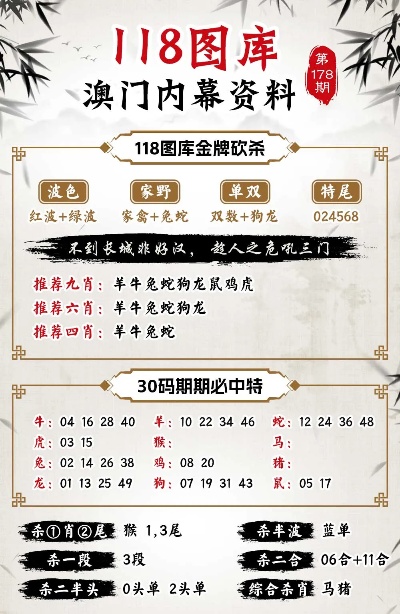 2024新澳兔费资料琴棋,科技成语分析落实_界面版8.838