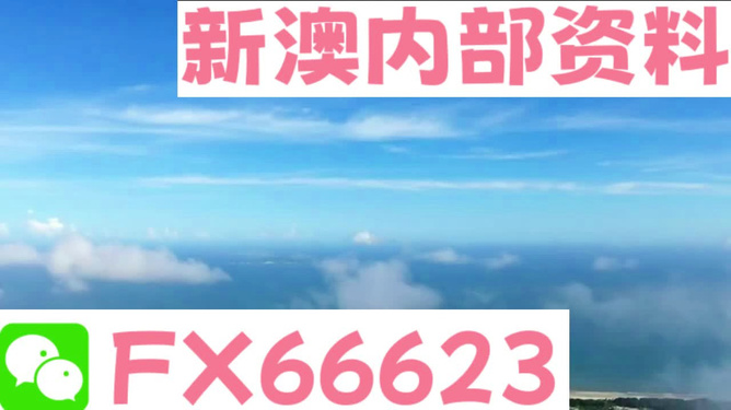 2024新澳最快最新资料,决策资料解释落实_储蓄版9.846