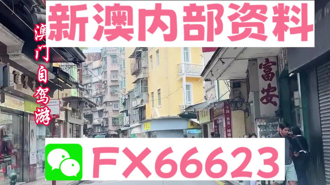 揭秘新澳精准资料免费提供,专业讲解解答解释方案_画面版9.989