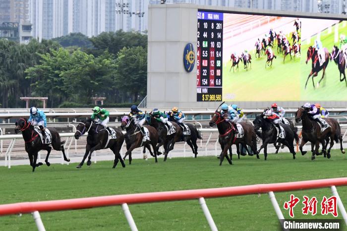 香港赛马会最准资料免费资,优选方案解析说明_初级款9.983