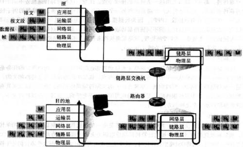 计算机网络的功能是哪两个