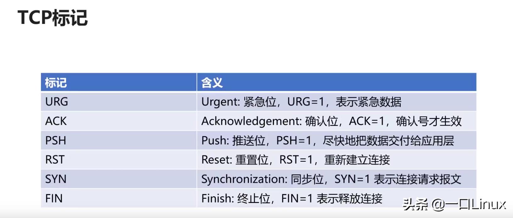 计算机网络的功能与用途概述