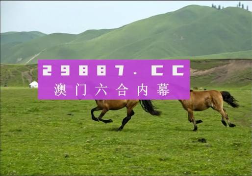 澳门跑狗图,效率资料解释落实_精英版8.356