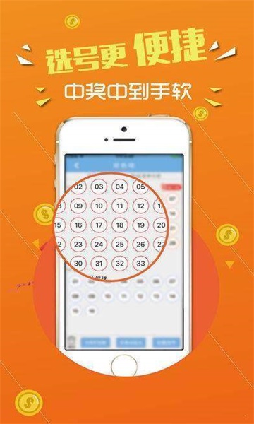 澳门王中王100,经典解释落实_户外版3.595