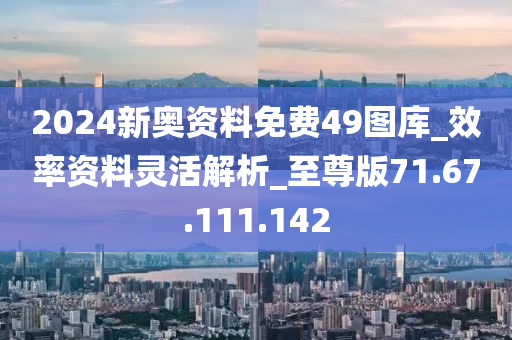 2024年11月12日 第25页