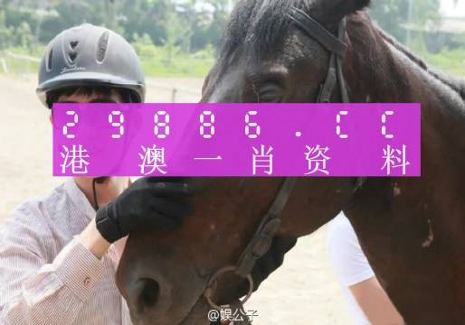 澳门一肖必中一码,最新答案解释落实_免费版9.85