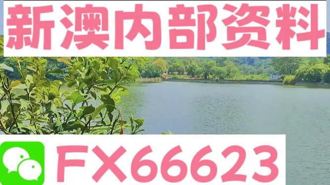 新澳精准资料免费提供网站有哪些,效率资料解释落实_精英版8.385