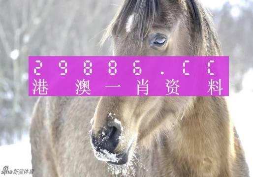 澳门持码一肖一码100,定量解答解释落实_体验版65.68.13