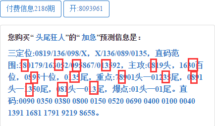 三肖4码,效率资料解释落实_精英版8.387