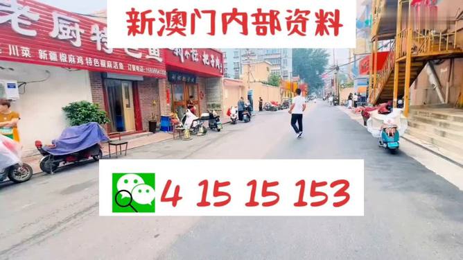 新澳天天开好彩资料大全,高效策略全域优化_飞跃版52.60.19