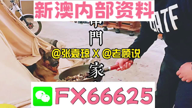 新澳门管家婆资料传真,高效工具更新教程_远航版33.60.23