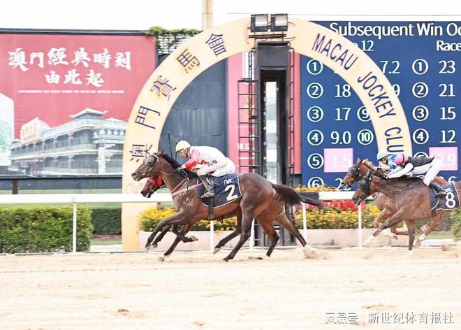 今天晚上的澳门特马,高效数据智能管控_凌云版51.63.39