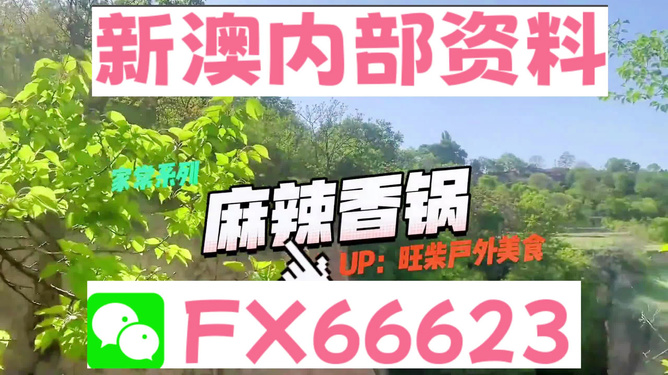 新澳准资料免费提供,智能化优化设计流程_核心版49.86.18